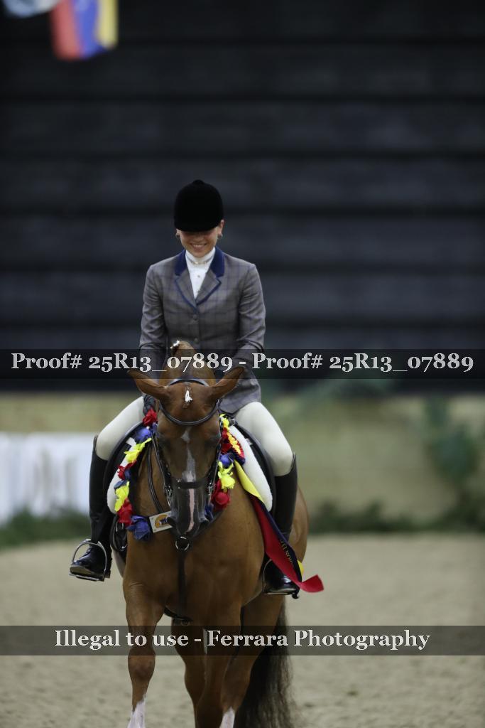 Proof Number 25R13_07889