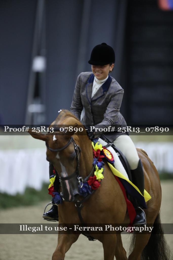 Proof Number 25R13_07890