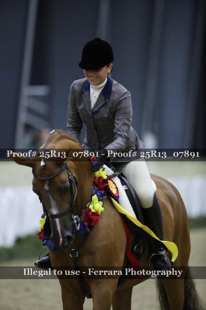 Proof Number 25R13_07891