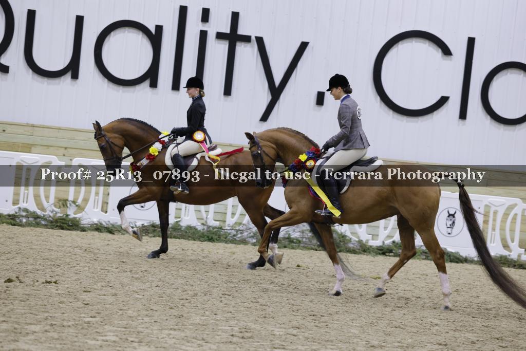 Proof Number 25R13_07893