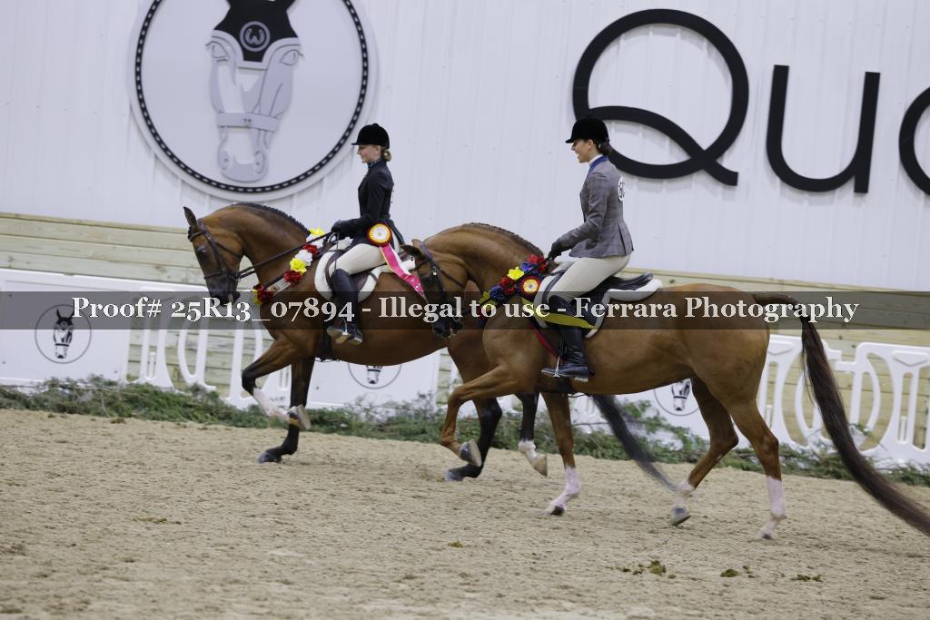 Proof Number 25R13_07894