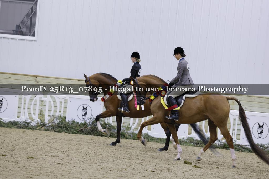 Proof Number 25R13_07895