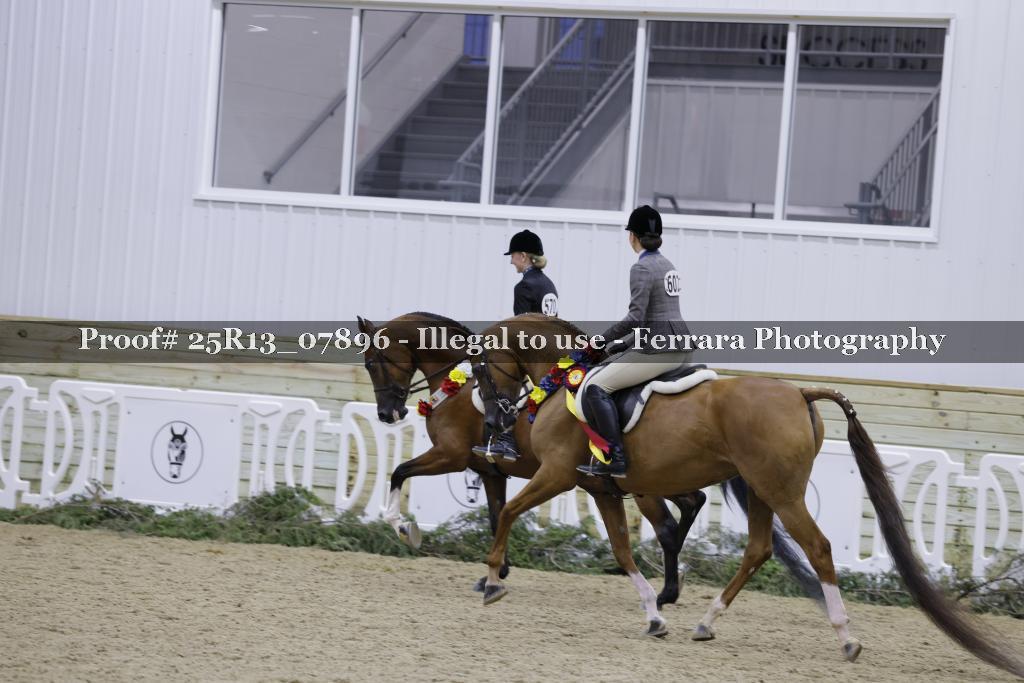 Proof Number 25R13_07896