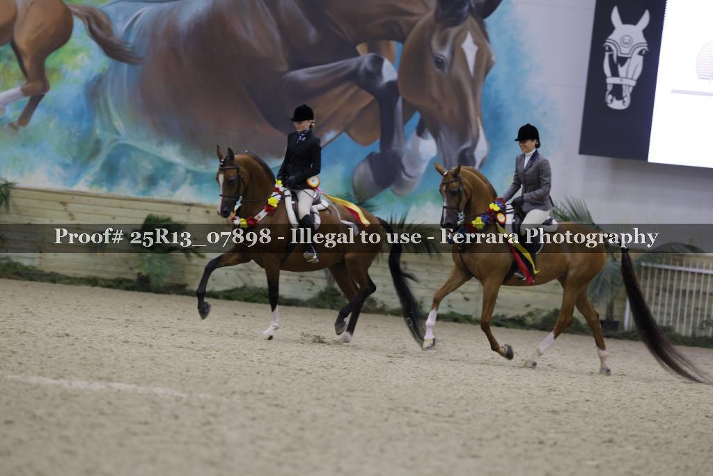 Proof Number 25R13_07898