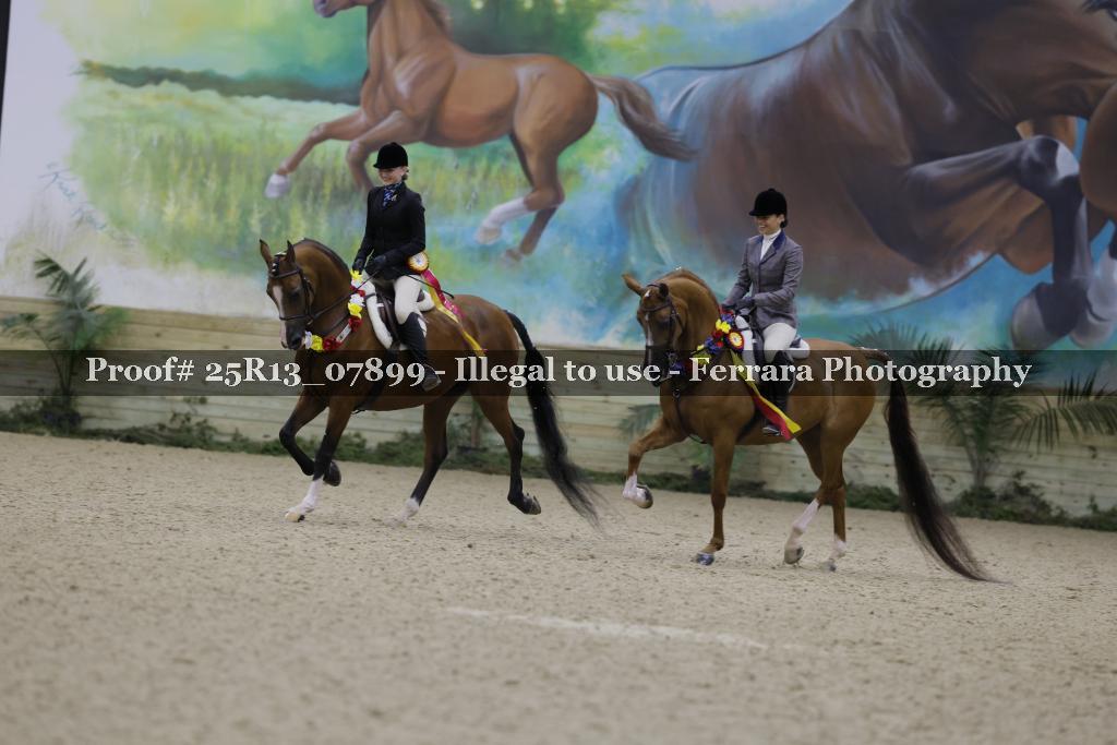 Proof Number 25R13_07899