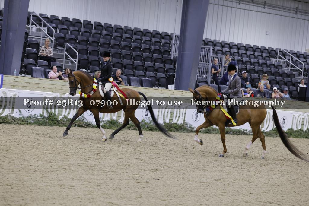 Proof Number 25R13_07900