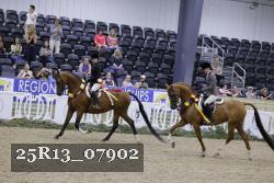 25R13_07902 thumbnail