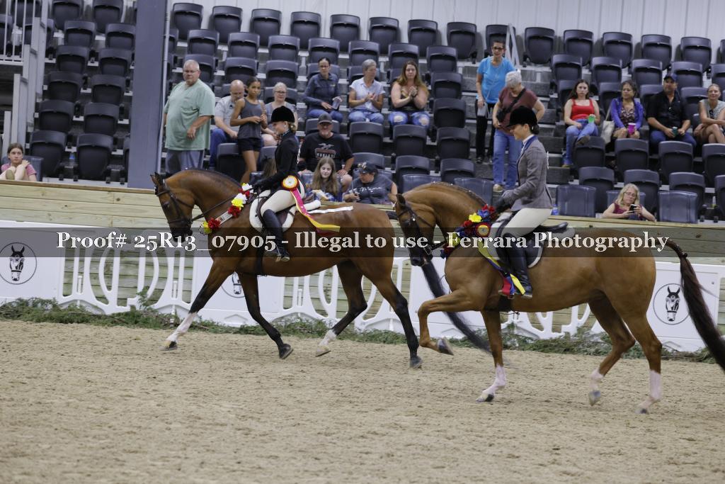 Proof Number 25R13_07905