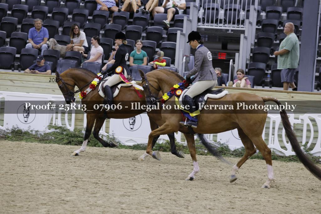 Proof Number 25R13_07906