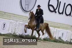 25R13_07910 thumbnail