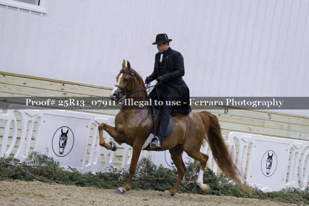 Proof Number 25R13_07911