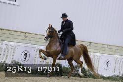 25R13_07911 thumbnail
