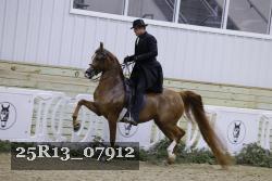 25R13_07912 thumbnail