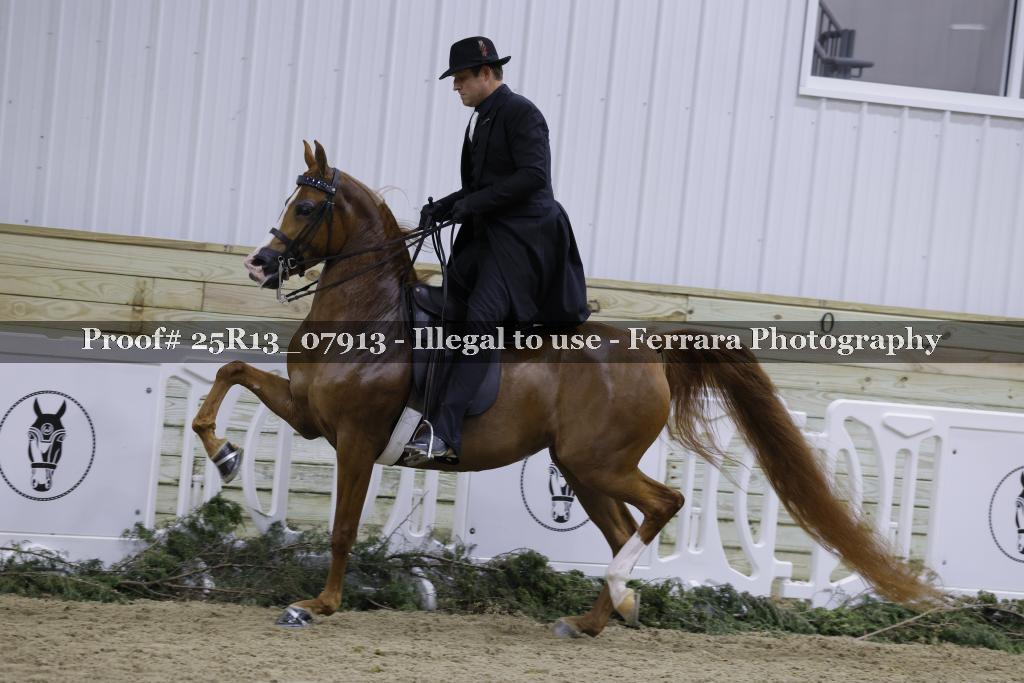 Proof Number 25R13_07913