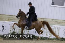 25R13_07913 thumbnail