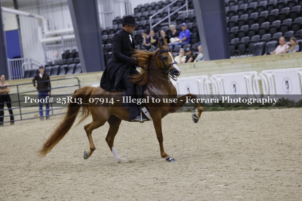Proof Number 25R13_07914