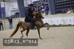 25R13_07914 thumbnail