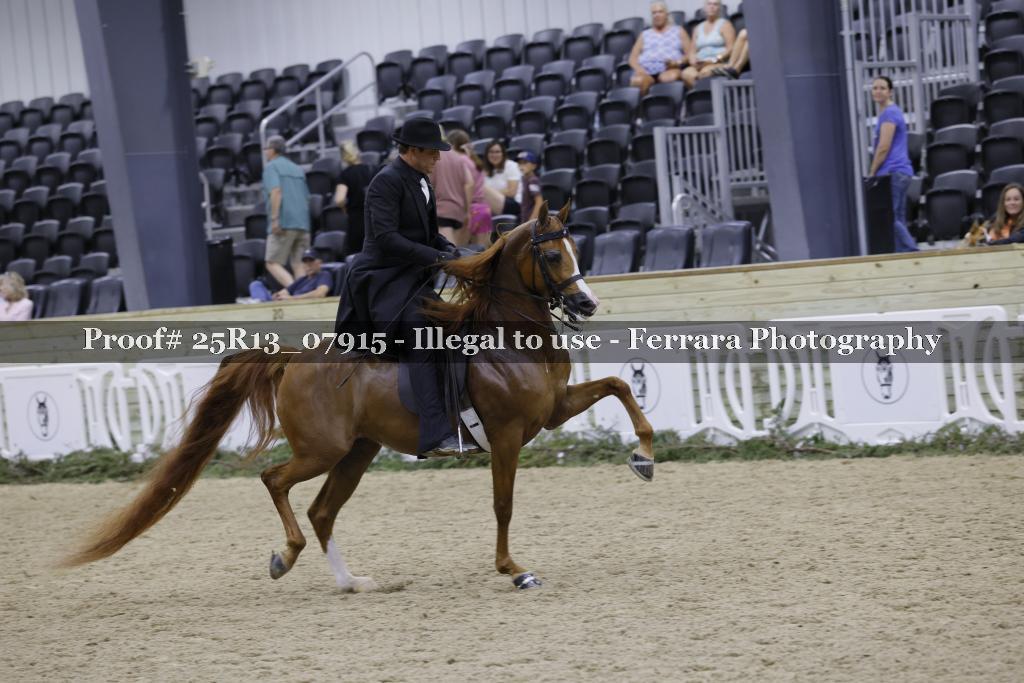 Proof Number 25R13_07915
