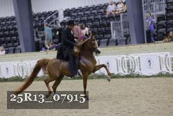 25R13_07915 thumbnail