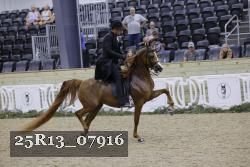 25R13_07916 thumbnail