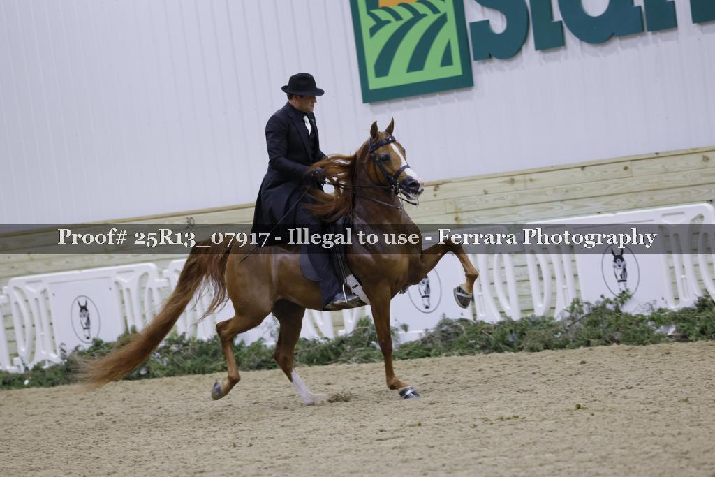 Proof Number 25R13_07917