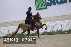 25R13_07917 thumbnail