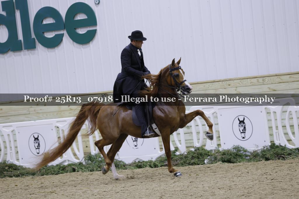 Proof Number 25R13_07918