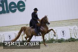 25R13_07918 thumbnail