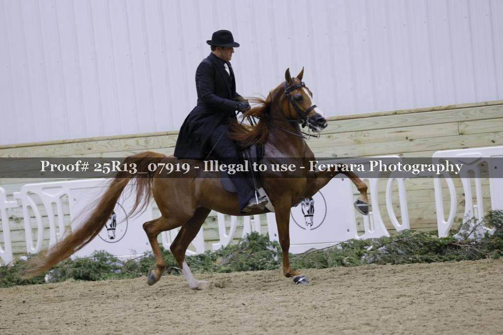 Proof Number 25R13_07919