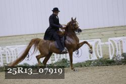 25R13_07919 thumbnail