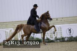 25R13_07920 thumbnail