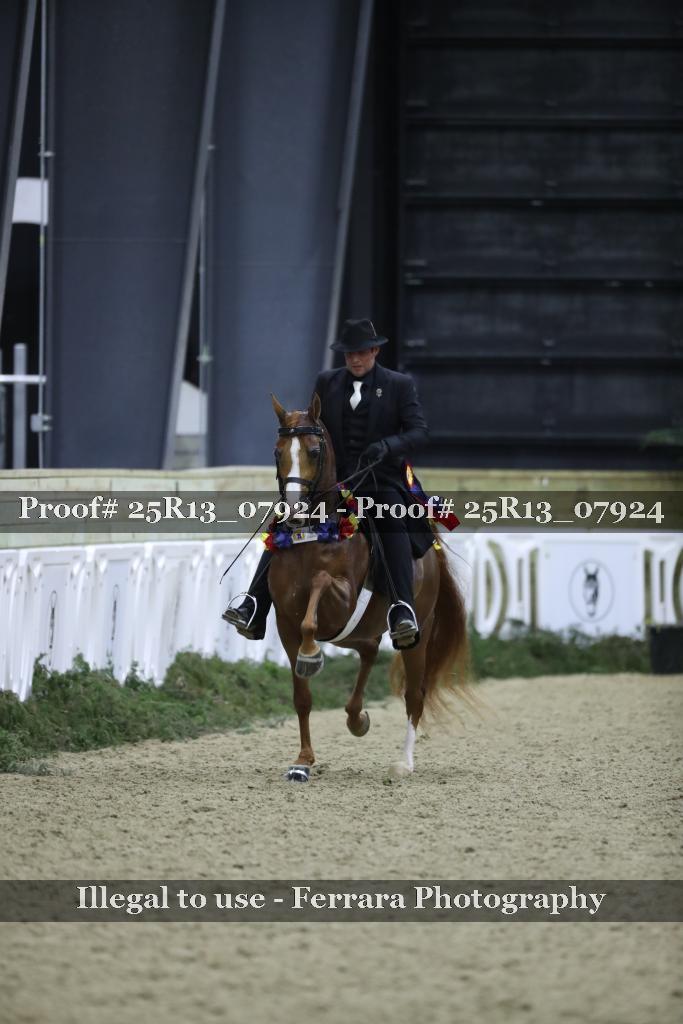 Proof Number 25R13_07924