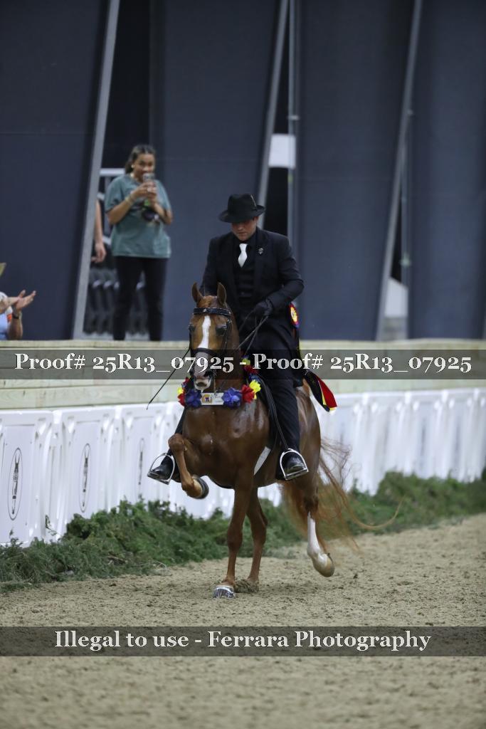 Proof Number 25R13_07925