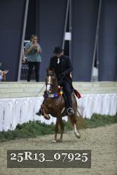 25R13_07925 thumbnail