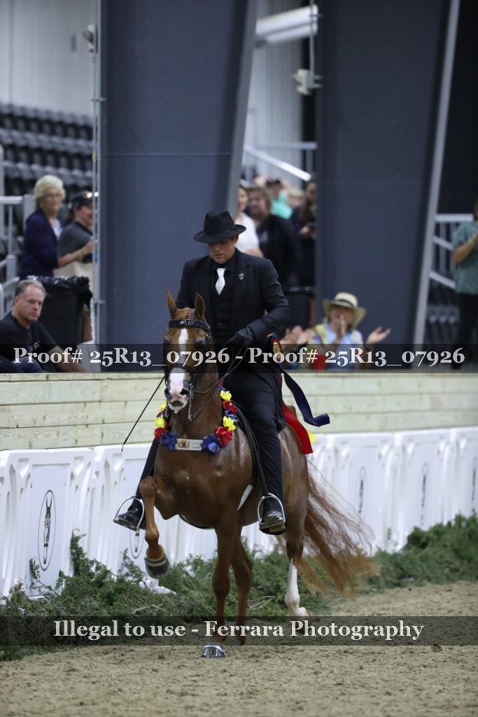Proof Number 25R13_07926