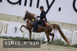 25R13_07930 thumbnail