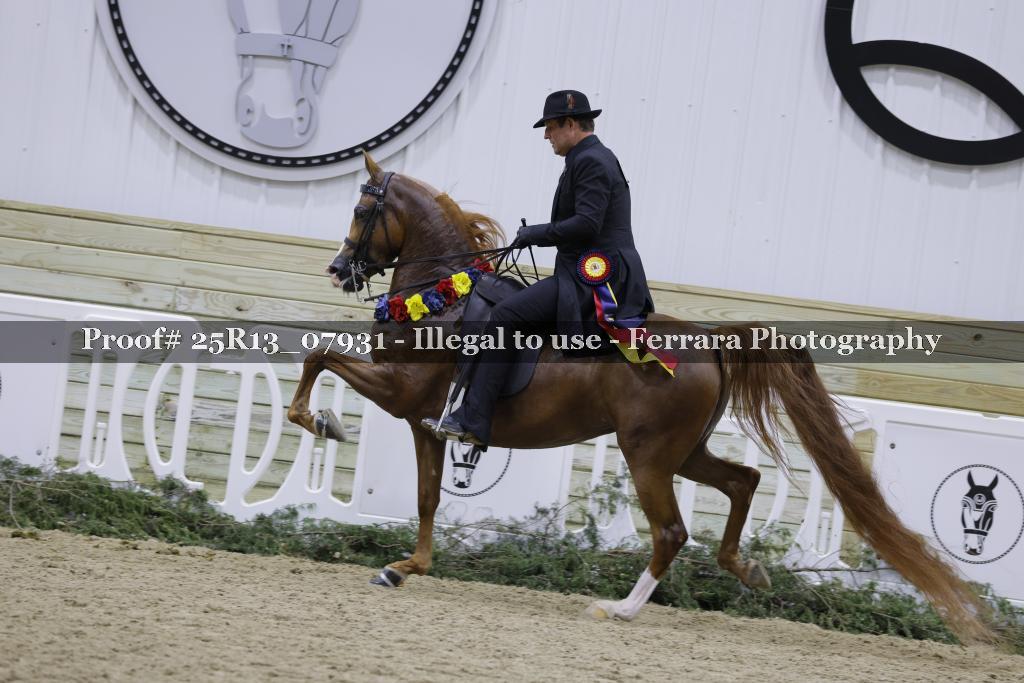 Proof Number 25R13_07931