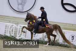 25R13_07931 thumbnail