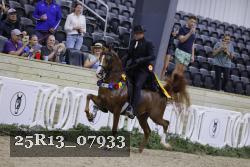 25R13_07933 thumbnail