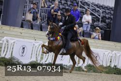 25R13_07934 thumbnail