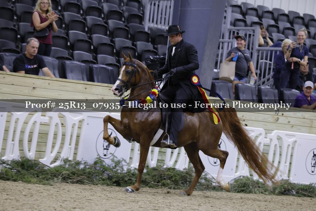 Proof Number 25R13_07935