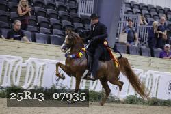 25R13_07935 thumbnail