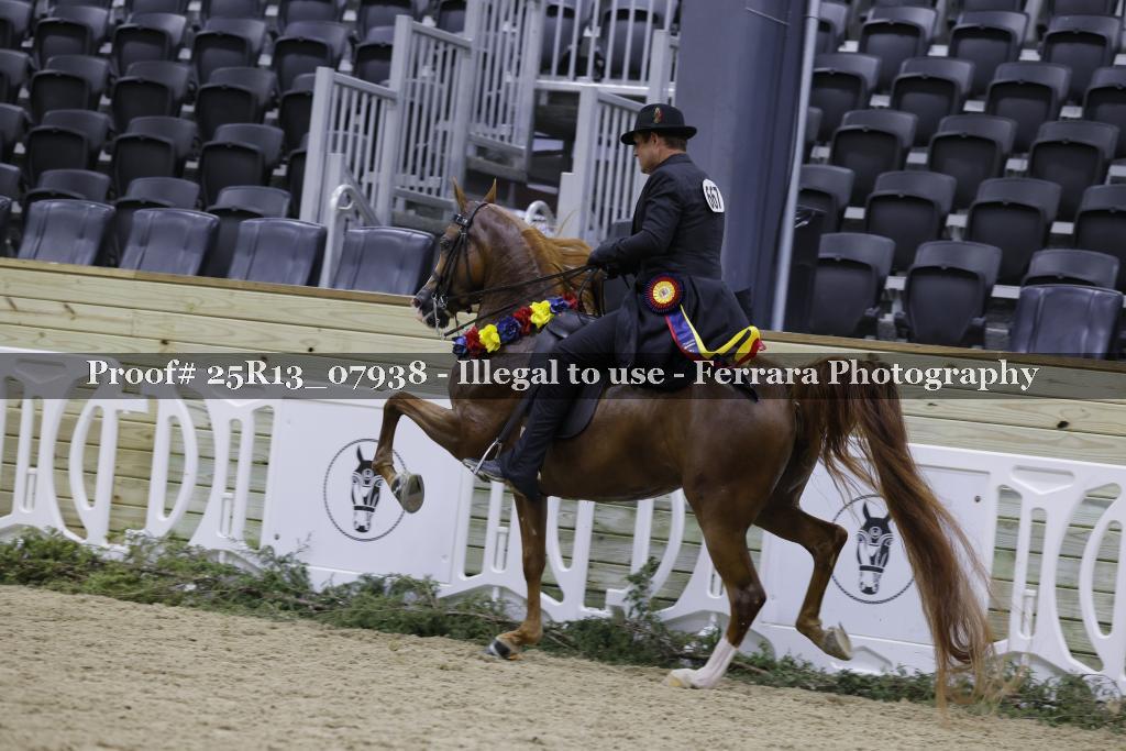 Proof Number 25R13_07938