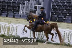 25R13_07938 thumbnail