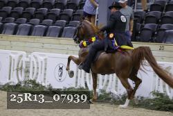 25R13_07939 thumbnail