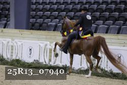 25R13_07940 thumbnail