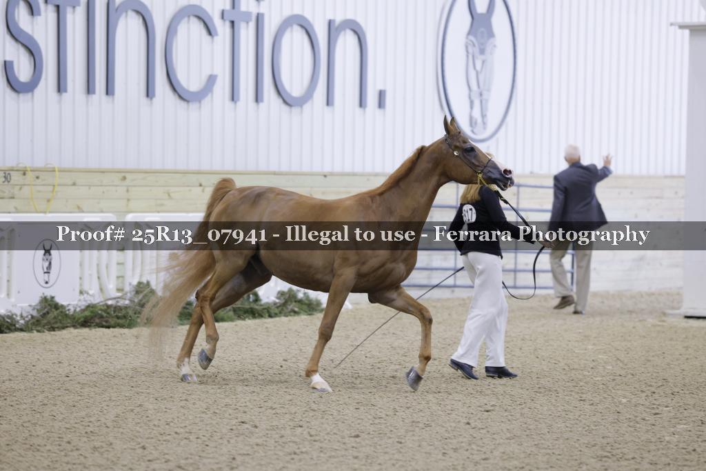 Proof Number 25R13_07941