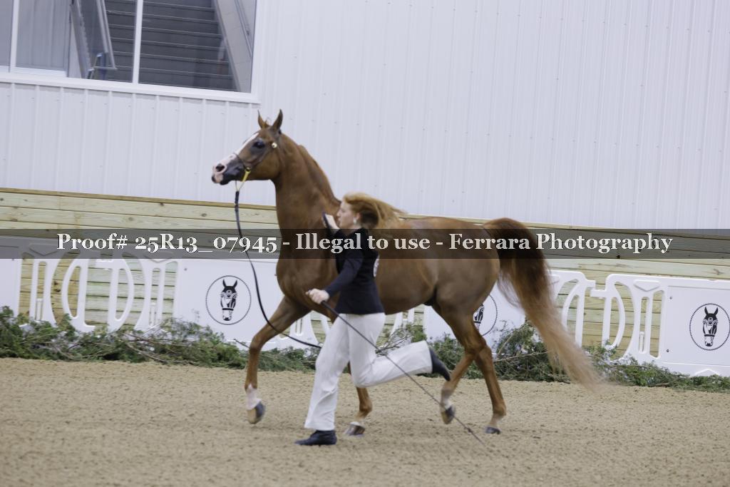 Proof Number 25R13_07945