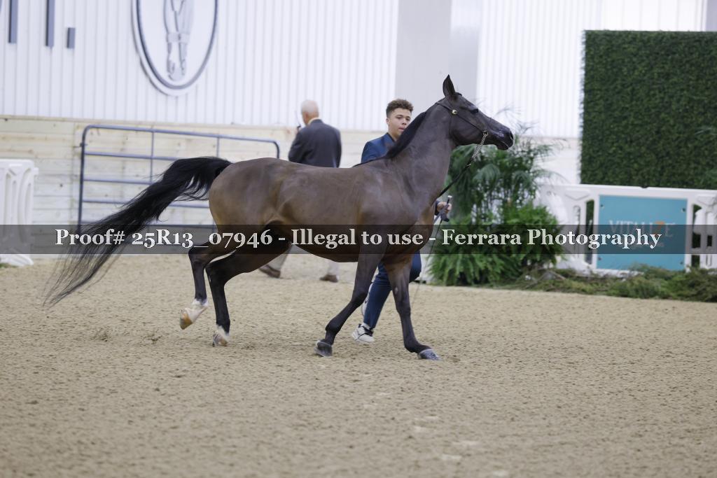 Proof Number 25R13_07946