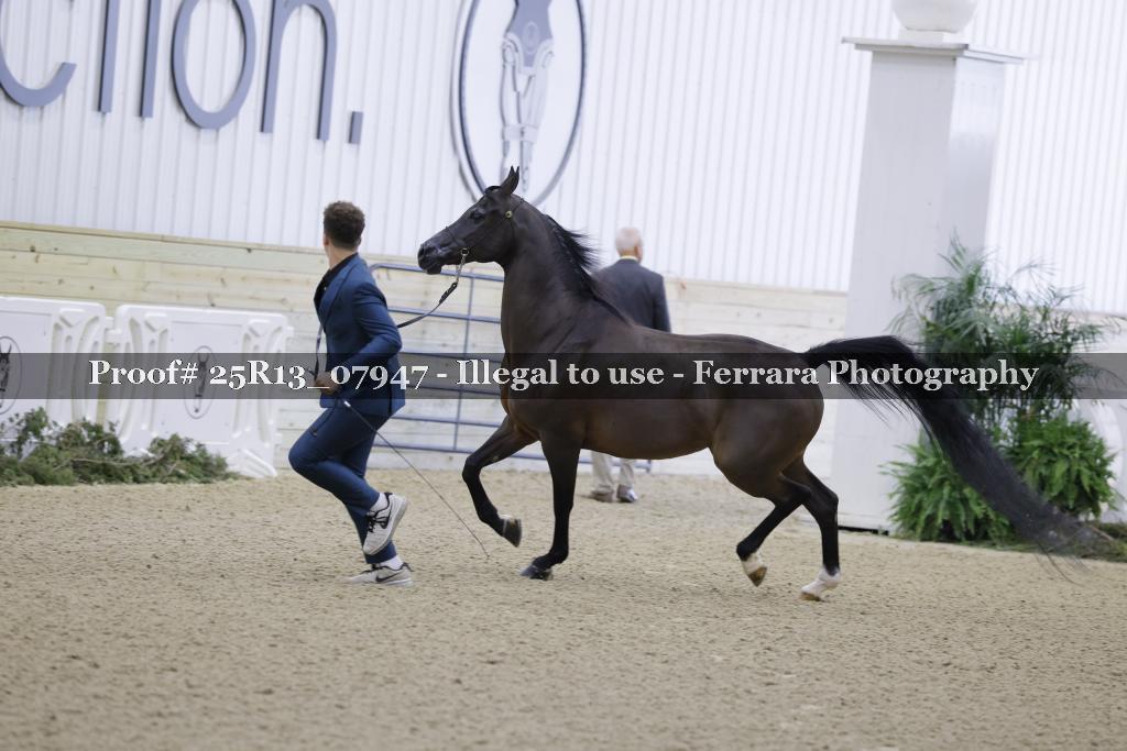 Proof Number 25R13_07947